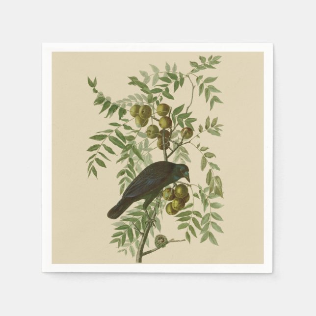 Servilleta De Papel Impresión de pájaro Grackle púrpura de Audubon Vin (Anverso)