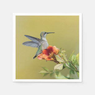 Servilleta De Papel Impresión fotográfica de colibrí en flor de trompe
