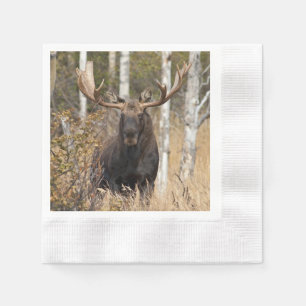 Servilleta De Papel Impresionante alce de toro