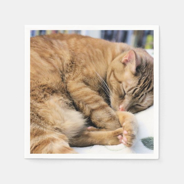 Servilleta De Papel Incursivo (Anverso)