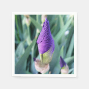 Servilleta De Papel iris bud púrpura