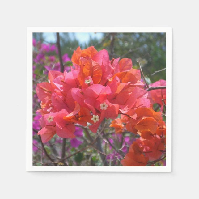 Servilleta De Papel Isla Tropical Rosa Bougainvillea Floral (Anverso)
