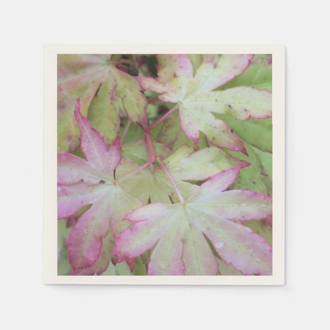 Servilleta De Papel Ivy Print Napkin (Anverso)