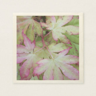 Servilleta De Papel Ivy Print Napkin