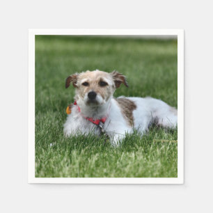 Servilleta De Papel Jack Square Paper Coaster