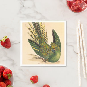 Servilleta De Papel James Sowerby Ground Parrot, Psittacus terrestres