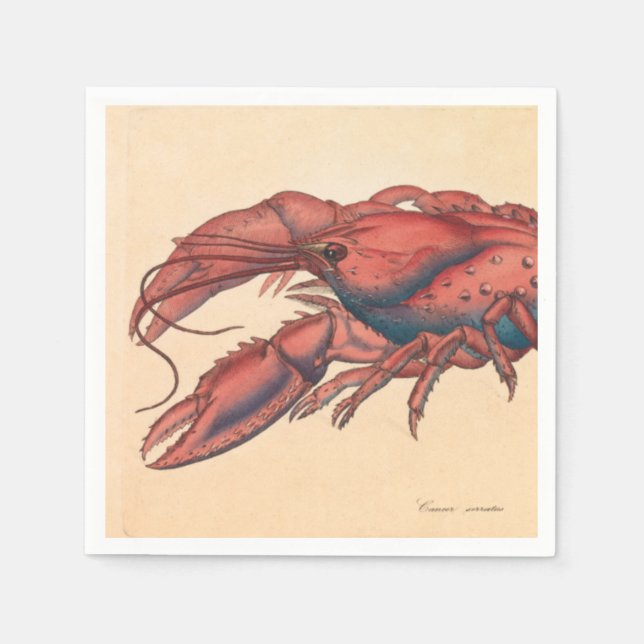 Servilleta De Papel James Sowerby Serrate Lobster (Anverso)