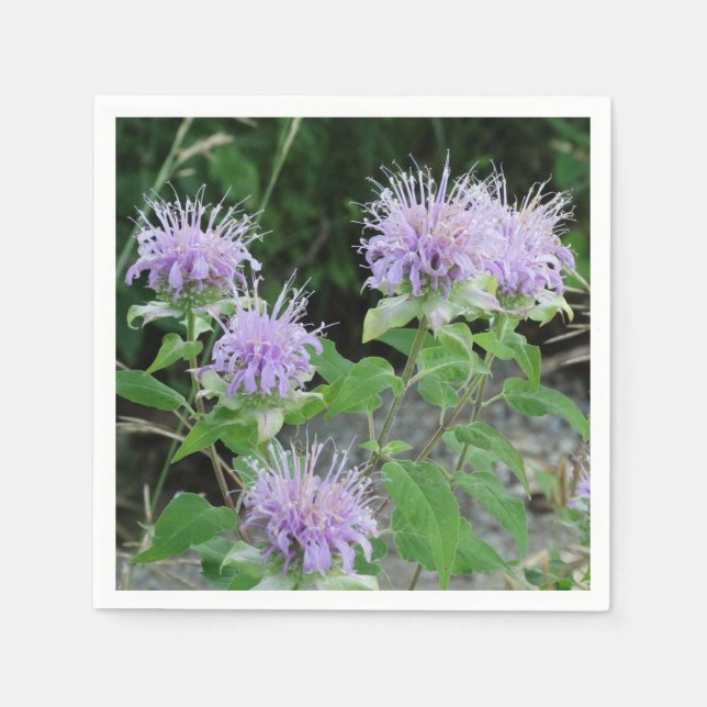 Servilleta De Papel Jardín de flores 3 (Anverso)