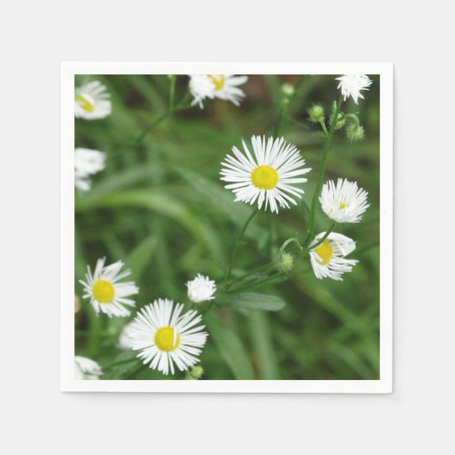 Servilleta De Papel Jardín de flores 5 (Anverso)