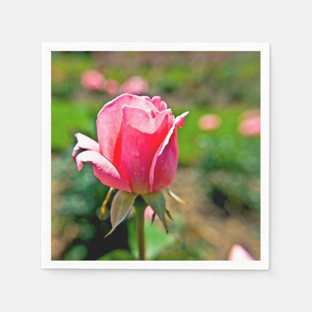Servilleta De Papel Jardín de Rosas Rosadas (Anverso)