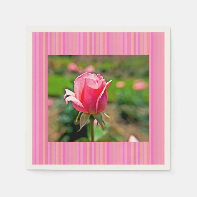 Servilleta De Papel Jardín de rosas rosadas con rayas (Anverso)