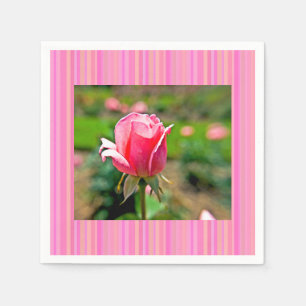 Servilleta De Papel Jardín rosa de las rosas con rayas