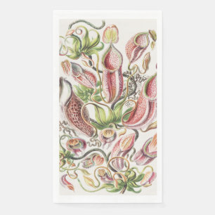 Servilleta De Papel Jarra de planta de botánica vintage de Ernst Haeck