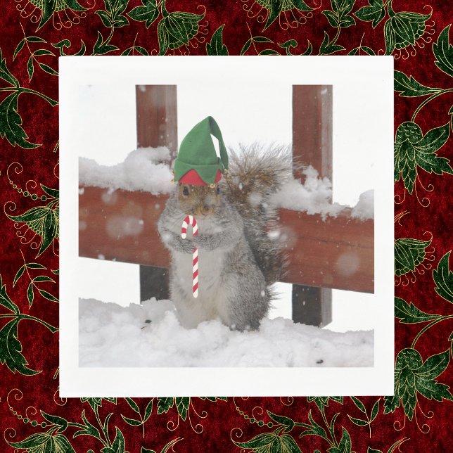Servilleta De Papel Jaunty Elf Squirrel con las servilletas de Candy C (Subido por el creador)