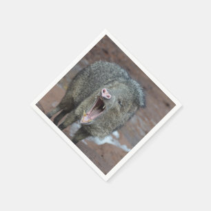 Servilleta De Papel Javalina con la boca abierta