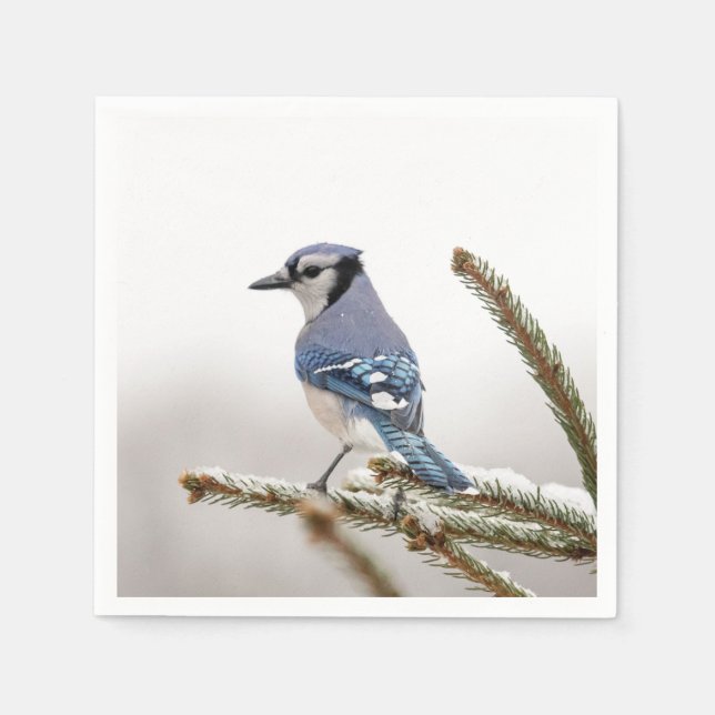 Servilleta De Papel Jay azul en invierno (Anverso)