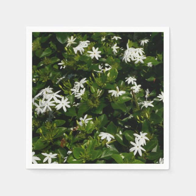 Servilleta De Papel Jazmín Flores Tropicales Florales Botánicas (Anverso)