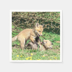 Servilleta De Papel Juego de Red Fox Kits