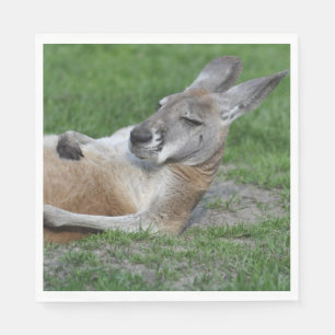 Servilleta De Papel Kangaroo