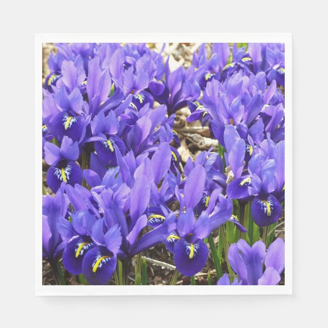 Servilleta De Papel Katherine Hodgkin Iris Purple Spring Floral (Anverso)
