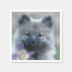 Servilleta De Papel Keeshond y Columbine - Fotografía de perro