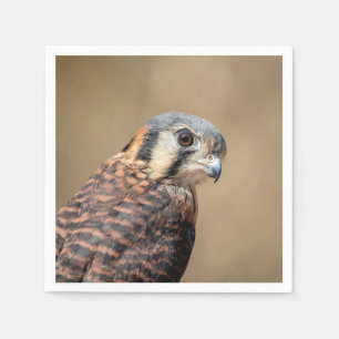Servilleta De Papel Kestrel americano