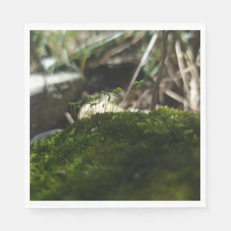 Servilleta De Papel Kleine Mooswelt – Naturfotografie Serviette