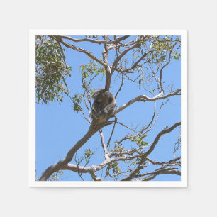 Servilleta De Papel Koala Nap