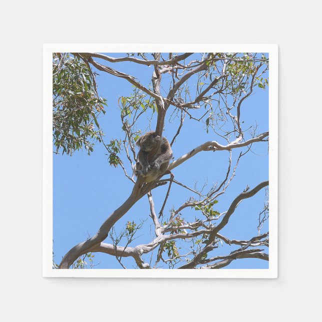 Servilleta De Papel Koala Nap (Anverso)