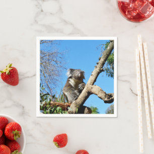Servilleta De Papel Koala Tiene Tiempo Para Reflexionar Sobre La Vida,