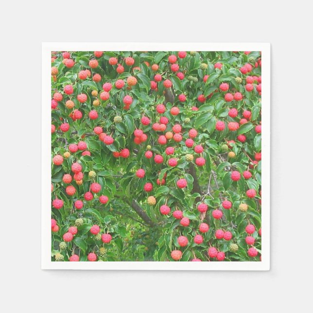Servilleta De Papel Kousa Dogwood Berries (Anverso)
