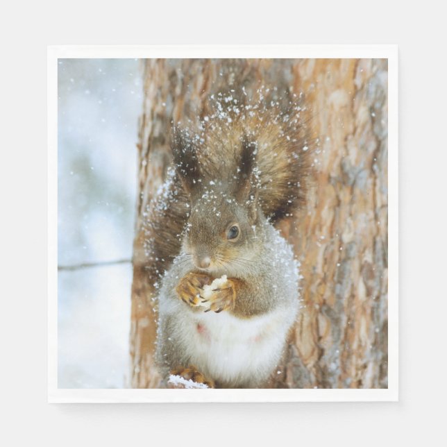 Servilleta De Papel La ardilla suave en un paisaje invernal (Anverso)