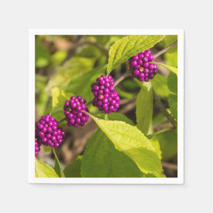 Servilleta De Papel La Beautyberry americana