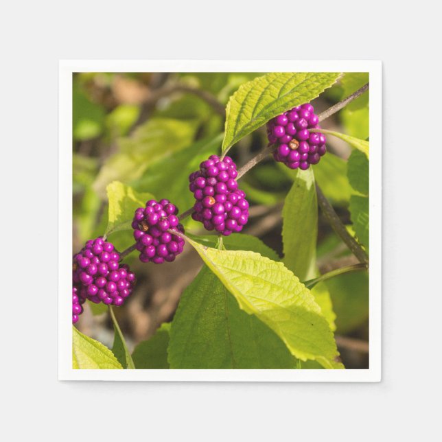Servilleta De Papel La Beautyberry americana (Anverso)