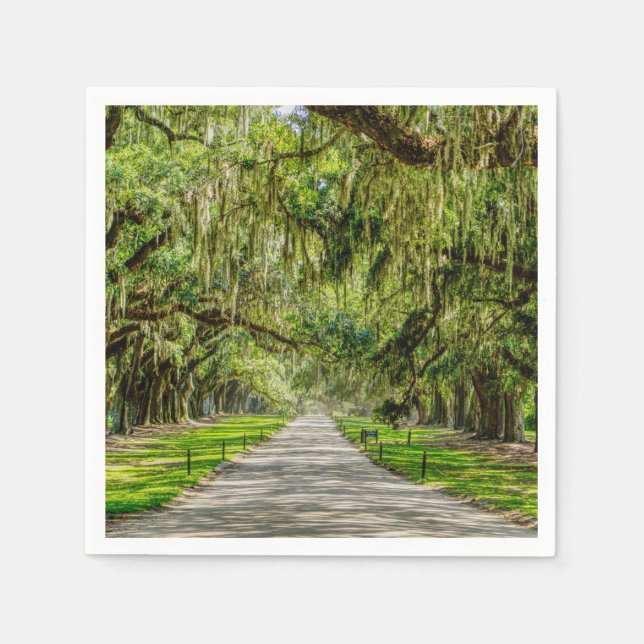 Servilleta De Papel La Hermosa Avenida De Los Oaks (Anverso)