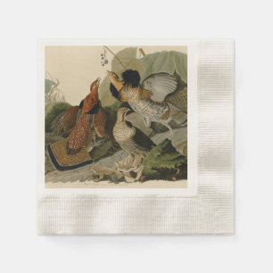 Servilleta De Papel La pintura de Audubon de un trío de una pandilla e