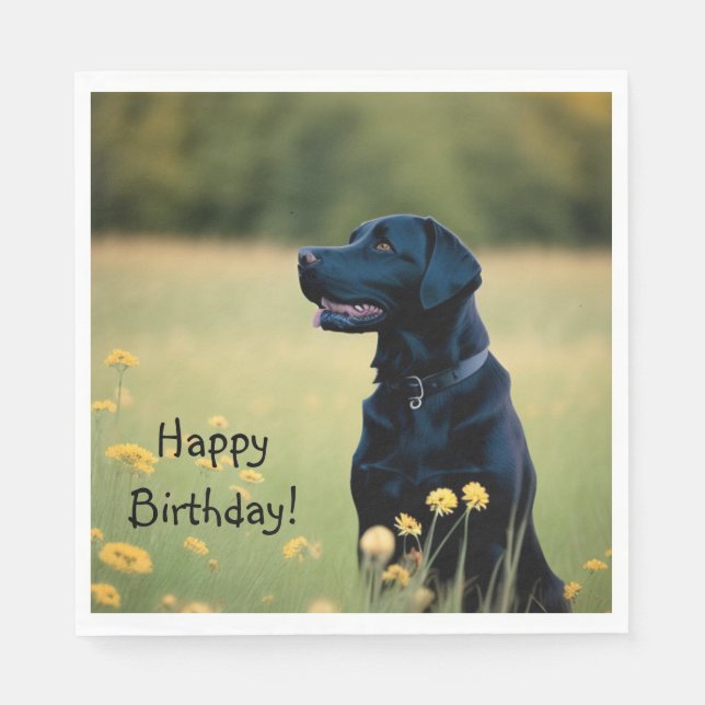 Servilleta De Papel Laboratorio negro (Anverso)