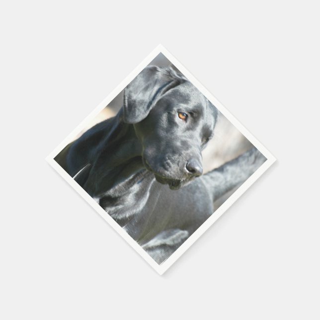 Servilleta De Papel Laboratorio negro (Borde)