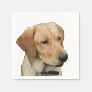 Servilleta De Papel Labrador retriever amarillo