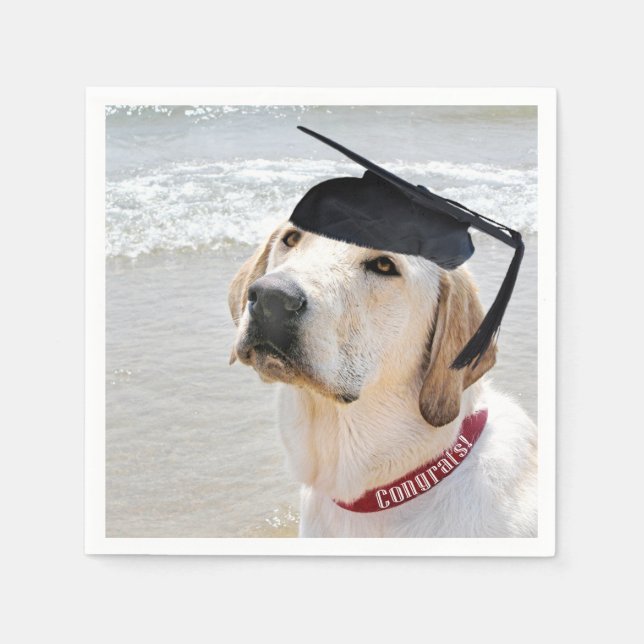 Servilleta De Papel Labrador Retriever Graduate With Cap (Anverso)