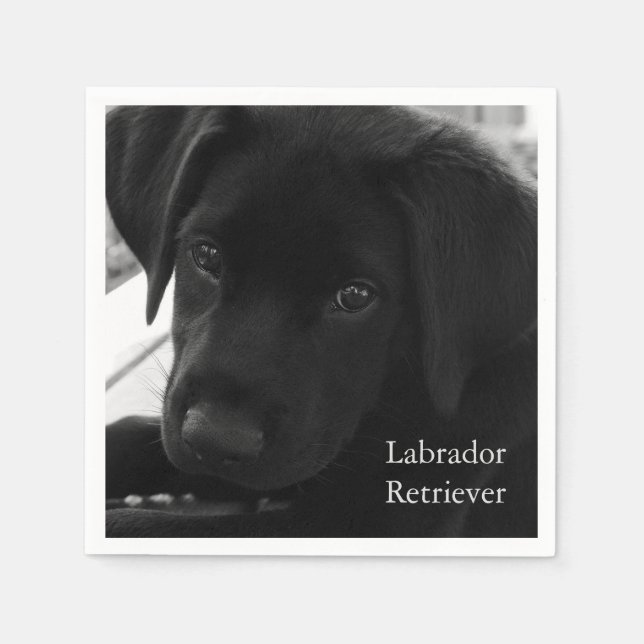 Servilleta De Papel Labrador Retriever Puppy (Anverso)