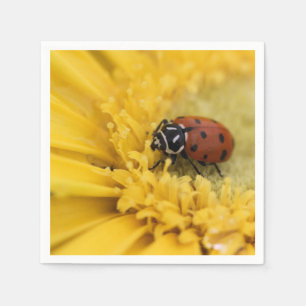 Servilleta De Papel Lady bug