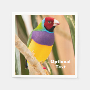 Servilleta De Papel Lady Gouldian Finch