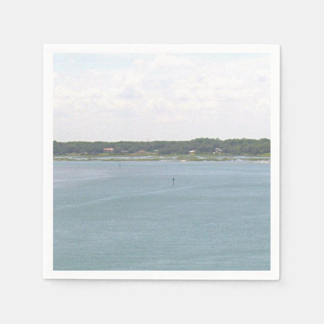 Servilleta De Papel Lago Florida (Anverso)