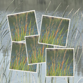 Servilleta De Papel Lago fotográfico Cattails Waterfront