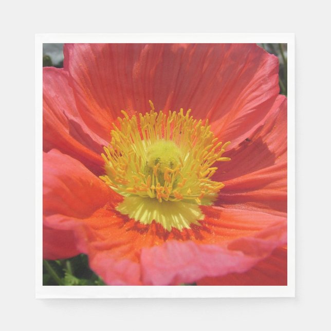 Servilleta De Papel Láminas de papel de almuerzo blanco SEMILLA FELIZ  (Anverso)