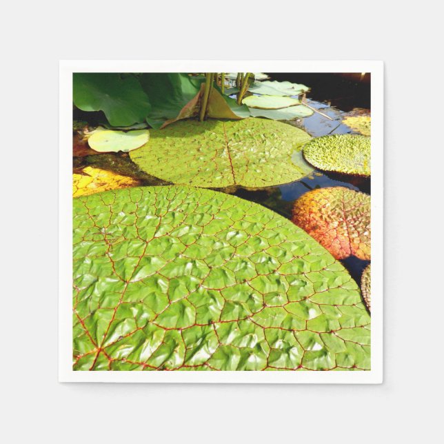Servilleta De Papel Láminas de papel de Lily Pads (Anverso)