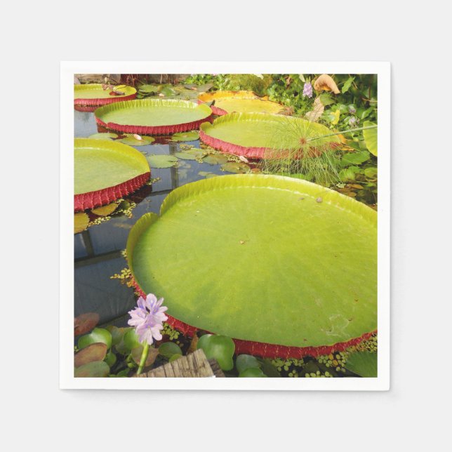 Servilleta De Papel Láminas de papel de Lily Pads (Anverso)