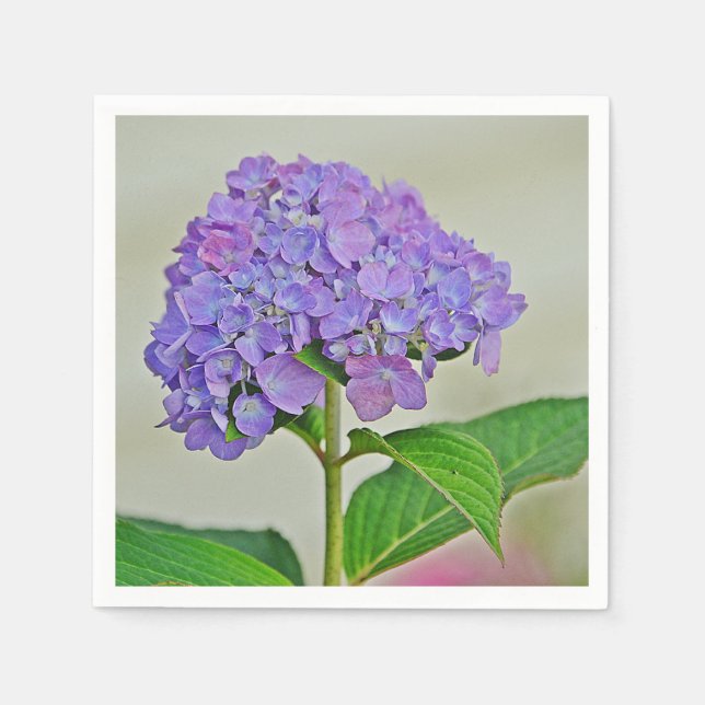 Servilleta De Papel Lavender Hydrangea Blossom Paper Napkin (Anverso)
