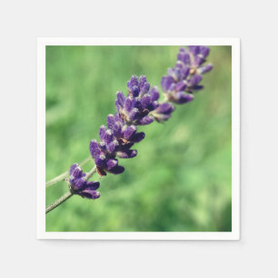 Servilleta De Papel Lavender Stalk Photo Paper Napkins